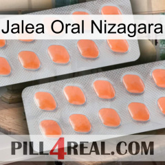 Nizagara Oral Jelly 27